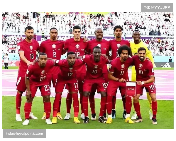 卡塔尔将连续五年承办赛事 硬件设施完善获国际足联肯定